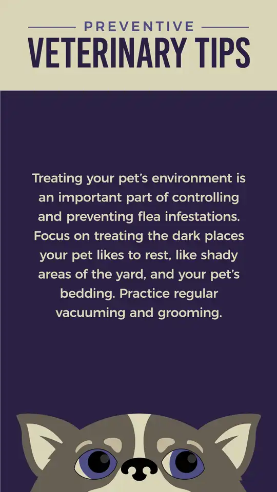 Preventive  Fleas