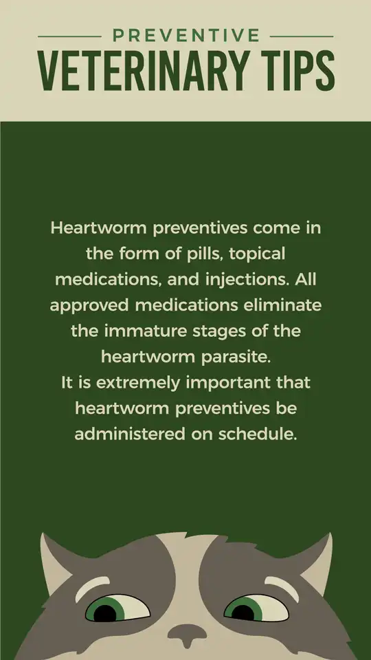 Preventive  Heartworm