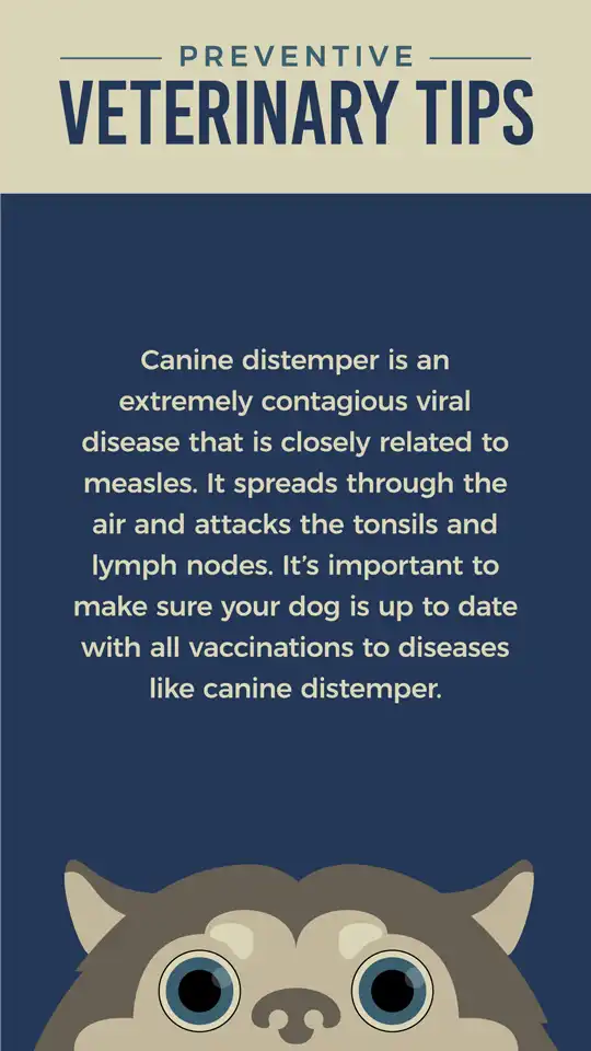 Preventive  Vaccinations