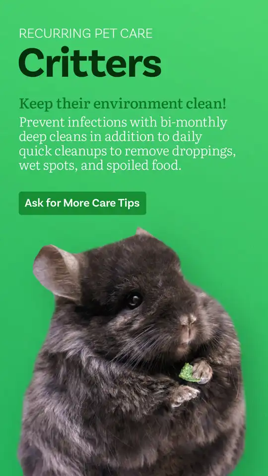 Veterinary  Critters