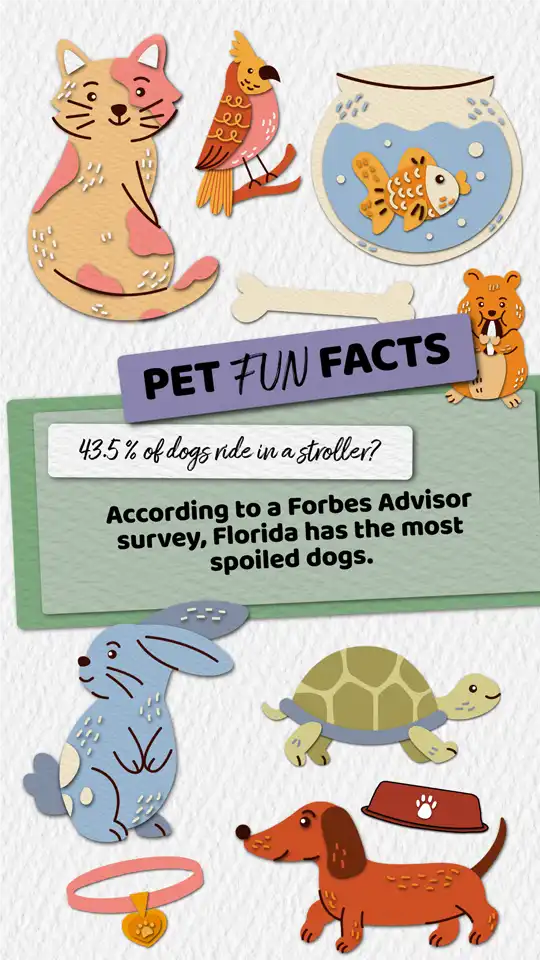 Fun Facts  Dog Stroller
