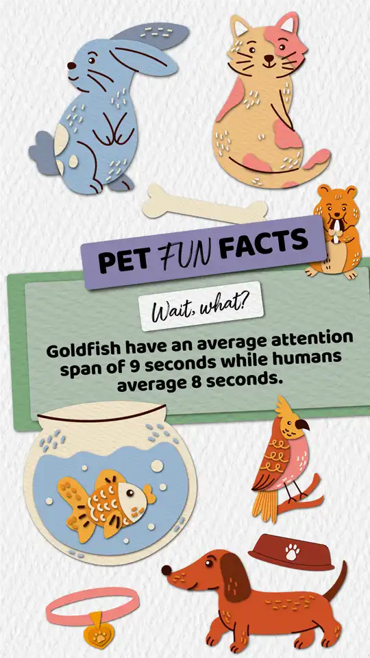 Fun Facts  Goldfish